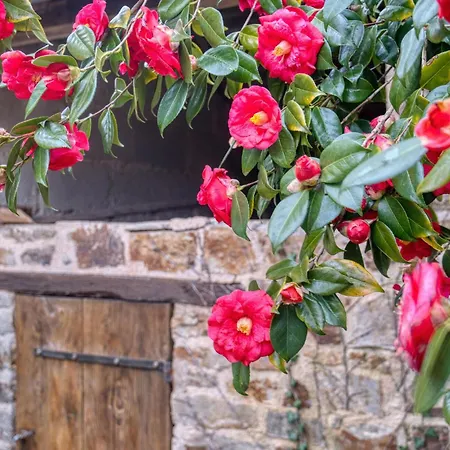 Beautiful In Jumilhac-le Grand With Kitchen